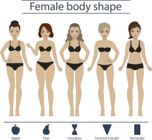 Female Body Shapes