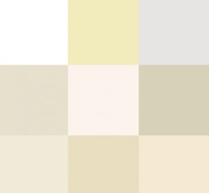 Neutral Colors